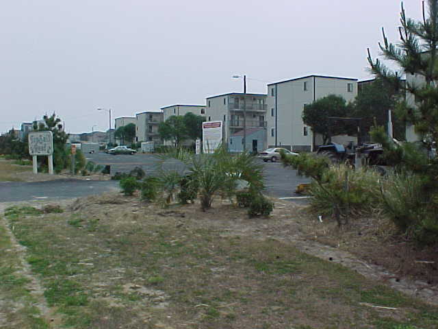 overallview.jpg