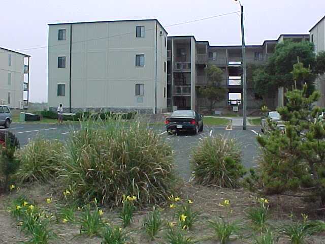 streetview.jpg